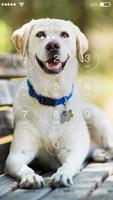 Cute Dogs Labrador HD Lock Screen Pin screenshot 1