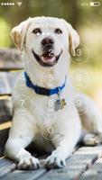 Cute Dogs Labrador HD Lock Screen Pin 스크린샷 1