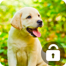 Cute Dogs Labrador HD Screen Lock Security APK