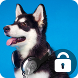 Siberian Husky Puppies Lock Screen Security