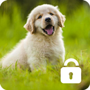 Cute Puppy Lock Screen Password Security Phone APK