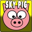 Sky Pig
