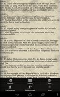 Alkitab Indonesia Inggris screenshot 3