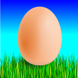 Egg