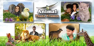 Marcos de Animales 🐅🐈 Collage de Naturaleza