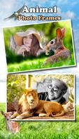 Animaux Cadres Photo 🐅🐈 Animal Sauvage Affiche