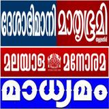 Top 10 Malayalam News ไอคอน