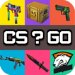 All Skins CS GO Quiz