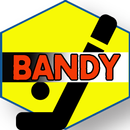 Learn Bandy Full APK
