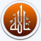 Allah's Miracles icône