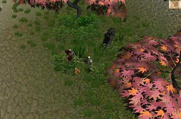 Lost Island APK download