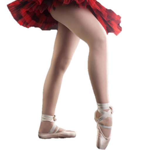 Ballet Leg Exercises