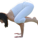 Yoga Crane Pose - Bakasana APK