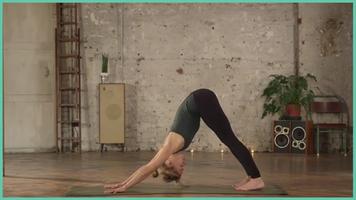 Yoga Handstand for Beginners পোস্টার