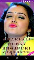 Amarpali Dubey Bhojpuri Video Songs الملصق