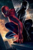 Amazing Spider-Man 2 Live WP screenshot 3