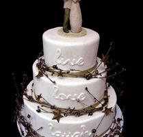 برنامه‌نما Amazing Wedding Cakes عکس از صفحه