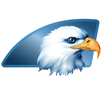 American Eagle VR APK