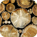 Wood background. HD wallpapers APK