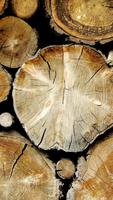 Wood background. HD wallpapers Plakat
