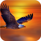 Flying Eagle. Live Wallpapers Zeichen