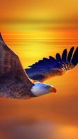 Flying Eagle. Live Wallpapers Plakat