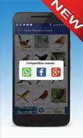 برنامه‌نما American Redstart Bird Songs عکس از صفحه