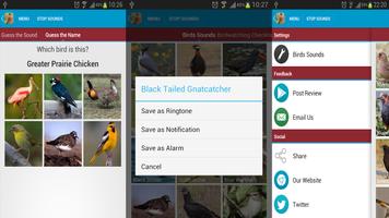 2 Schermata American Woodcock Bird Song