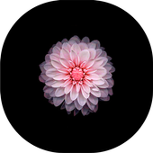 wallpaperaccentwallw: Wallpaper Terbaik Di Dunia