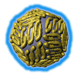 ZIKA Virus Structure in 3D VR
