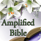 Amplified Bible Free Version1 icono