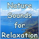 Nature Sounds for Relaxation APK