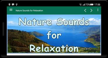 Nature Sounds for Relaxation Affiche