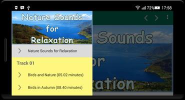 Nature Sounds for Relaxation capture d'écran 2