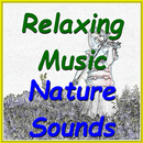Relaxing Music Nature Sounds APK