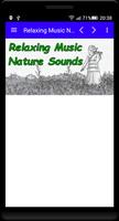 Relaxing Music Nature Sounds capture d'écran 1