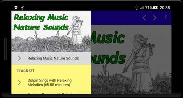Relaxing Music Nature Sounds capture d'écran 2