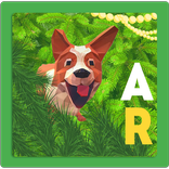 DogPi