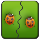 Beetle - Free APK