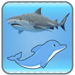 Dolphin And Shark - Free