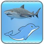 Dolphin And Shark - Free