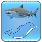 Dolphin And Shark - Free icon
