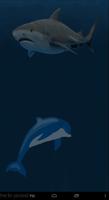 Dolphin And Shark - Free poster
