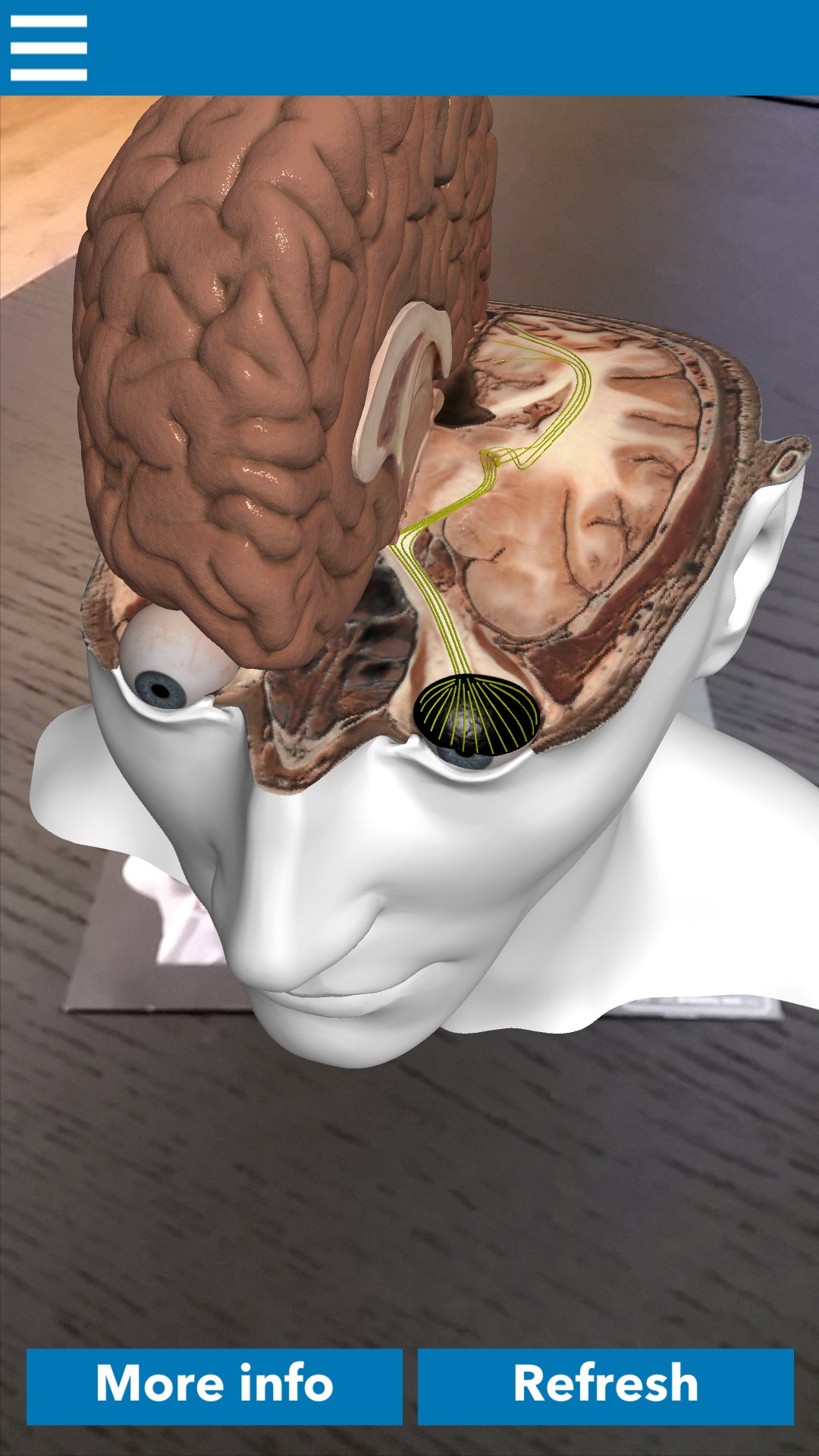 ดาวน์โหลด Anatomy Next APK สำหรับ Android