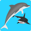 Dolphin Adventure APK