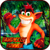 Bandicoot Runner APK