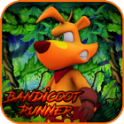 ikon Bandicoot Runner