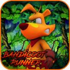 Bandicoot Runner icono