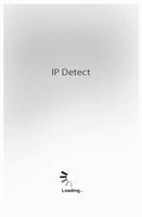 IP Detect poster
