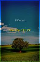 IP Detect screenshot 1